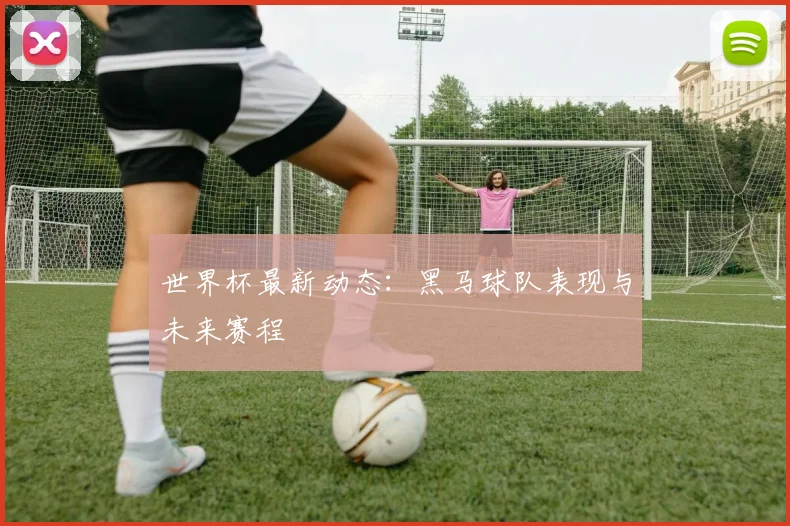 世界杯最新动态：黑马球队表现与未来赛程